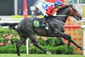 World War<br>Photo by Singapore Turf Club